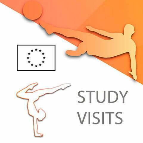 www.studyvisits.pl